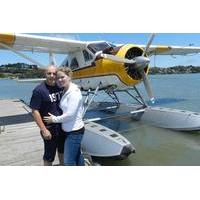 Romantic Sunset Champagne Seaplane Tour over San Francisco