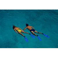 Roatan Shore Excursion: Snorkeling Tour