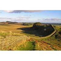 Rosslyn Chapel and Hadrian\'s Wall Small Group Day Tour from Edinburgh
