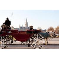 romantic vienna combo vienna card horse and carriage tour belvedere pa ...
