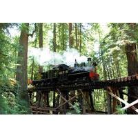 Roaring Camp Steam Train Through Santa Cruz Redwoods