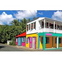 Road Town Shore Excursion: Tortola Island Adventure
