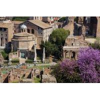 Rome Super Saver: Skip-the-Line Ancient Rome and Colosseum Walking Tour plus Frascati Wine Tasting Tour