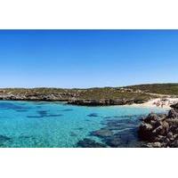 Rottnest Island Roundtrip Fast Ferry from Hillarys Boat Harbour