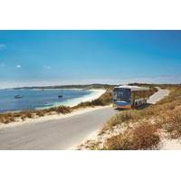 Rottnest Island Explorer Bus Tour from Hillarys Boat Harbour