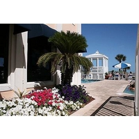 Royal Mansions Resort