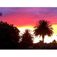 Royal Palms Papamoa Bed and Breakfast