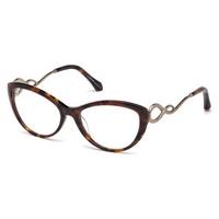 Roberto Cavalli Eyeglasses RC 5009 ARGENTARIO 052