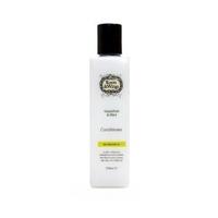 Roots & Wings Refreshing Grapefruit & Mint Conditioner (250ml)