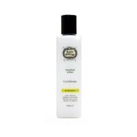 roots wings refreshing grapefruit mint conditioner 250ml