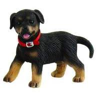 Rottweiler Puppy Mara