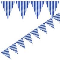 Royal Blue Stripe Party Bunting