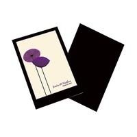 Romantic Elegance Program