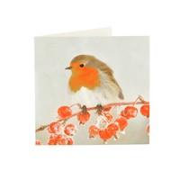 robin christmas cards