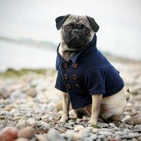 ROVER Navy Peacoat