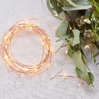 Rose Gold String Lights