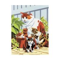 royal langnickel painting by numbers kit cat and kitten