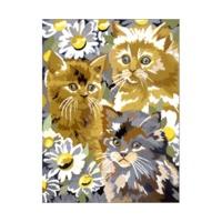 royal langnickel painting by numbers kit kittens and daisies
