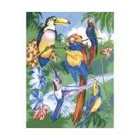 royal langnickel painting by numbers kit tropical birds