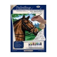 royal langnickel painting by numbers artist canvas thoroughbred horse