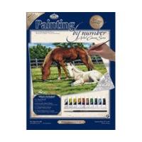 royal langnickel painting by numbers kit horse in field