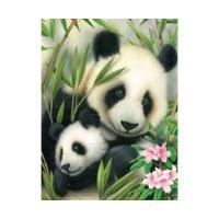 Royal & Langnickel Panda And Baby Painting By Numbers Kit Regular Size