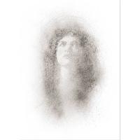 Rosa By Marion McConaghie