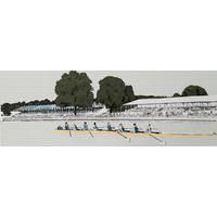 Row Row Row Regatta By Clare Halifax