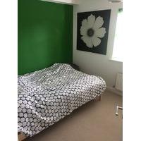 Room to rent Burton on trent