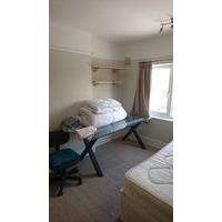 Room available in five bedroom professional house