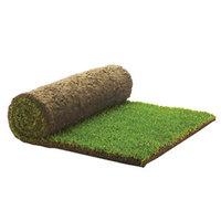 rolawn medallion grass turf roll 1m2