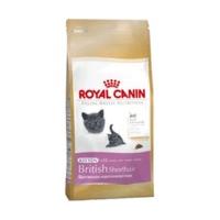 Royal Canin British Shorthair Kitten (10 kg)