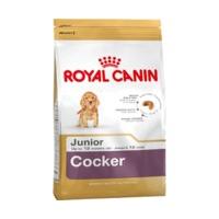 Royal Canin Cocker Junior (3 kg)