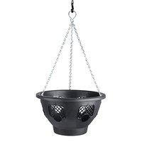 roots shoots 12 inch hanging basket