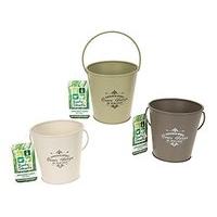 Roots & Shoots Branded Set Of 3 Vintage Mini Garden Bucket Planters With