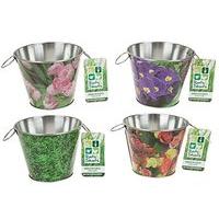Roots & Shoots Branded Set Of 4 Mini Tin Garden Design Bucket Planters, 10cm H