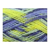 Robin Paintbox Knitting Yarn DK 1125 Butterfly