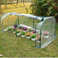 Royal Large 2m Transparent PVC Tunnel Greenhouse