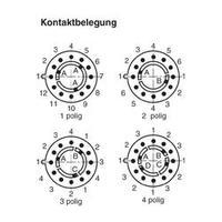 Rotary switch 150 Vac 0.13 A Switch postions 4 1 x 30 ° TT Electronics AB 417 1 pc(s)