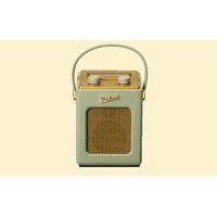 Roberts Revival Mini DAB Radio in Pastel Leaf