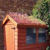 ROOFTRADE Multi-Coloured Living Roof (L)4m (W)1m Kit