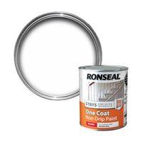 Ronseal Interior White Gloss One Coat Non Drip Paint 750ml