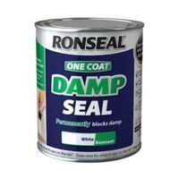 ronseal one coat damp seal 1l