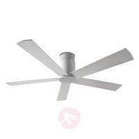 rodas ceiling fan grey