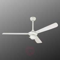 Robust ceiling fan Mountain Gale