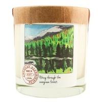 Root Candle - Scented Mountain Evergreen - American Experience