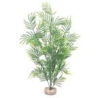 Rosewood Sydeco Maxi Feather Fern Natural Plants, 46 cm