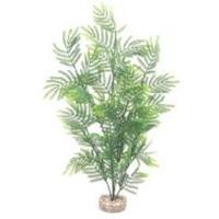 rosewood sydeco maxi feather fern natural plants 46 cm