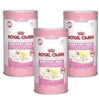 Royal Canin Feline Babycat Milk - Triple Pack