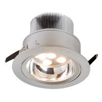 Robus 18W High Power LED Directional Downlight - Satin Silver